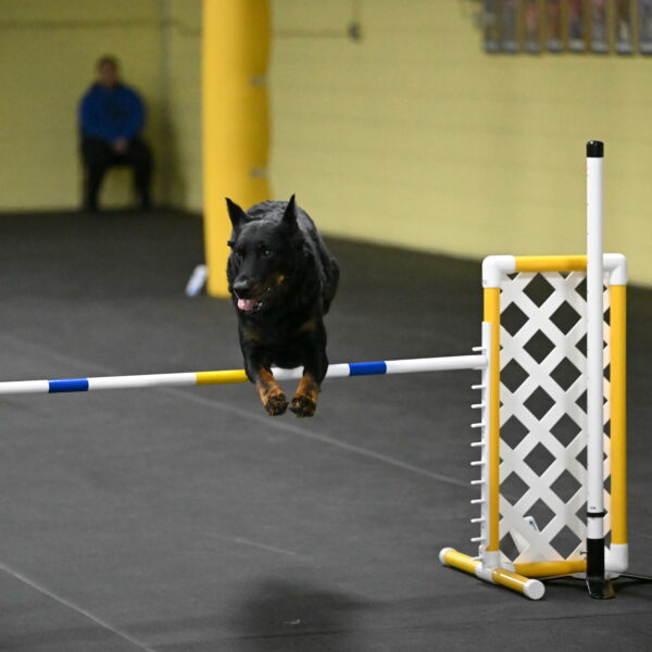 Sirsee-Bourell-Casey-07256