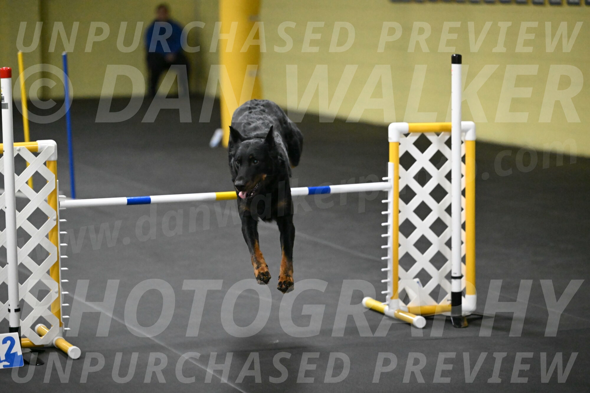 Sirsee-Bourell-Casey-07257