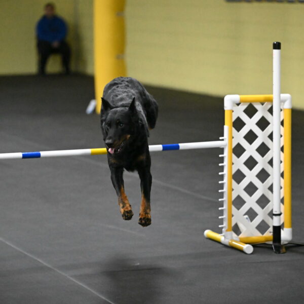 Sirsee-Bourell-Casey-07257