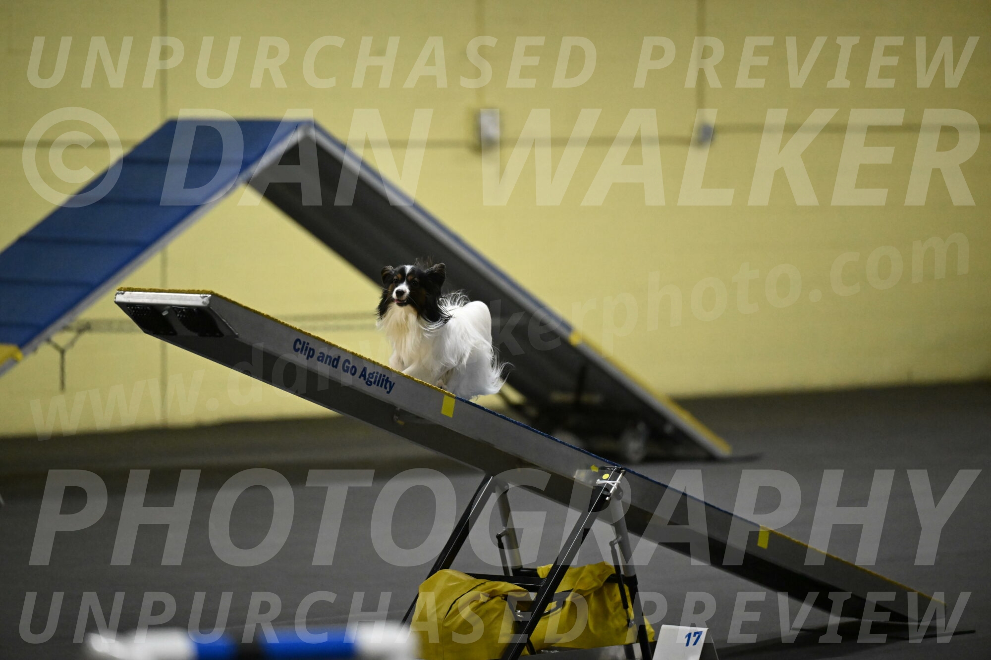 Sparky-Schneider-15789