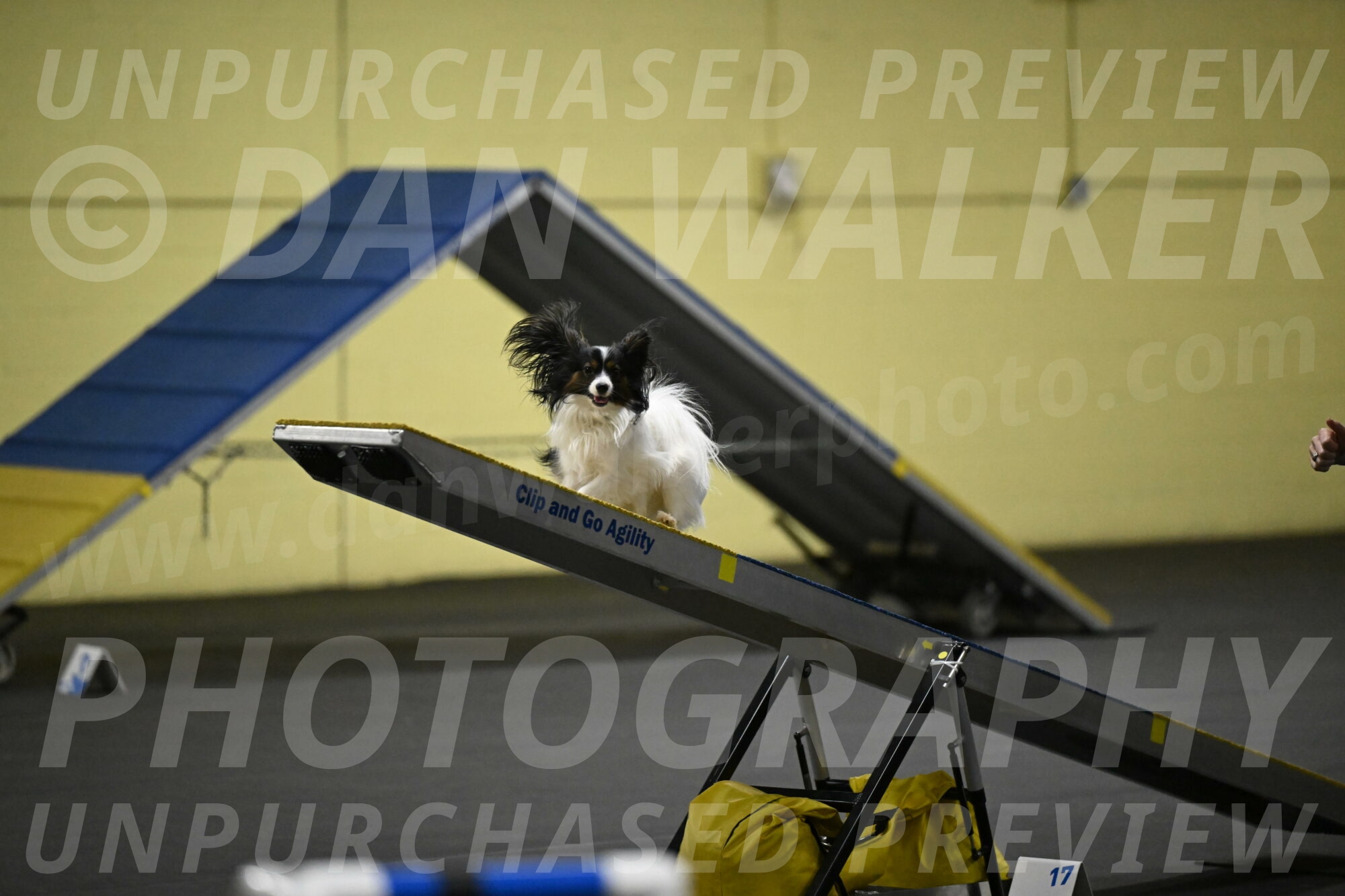 Sparky-Schneider-15790