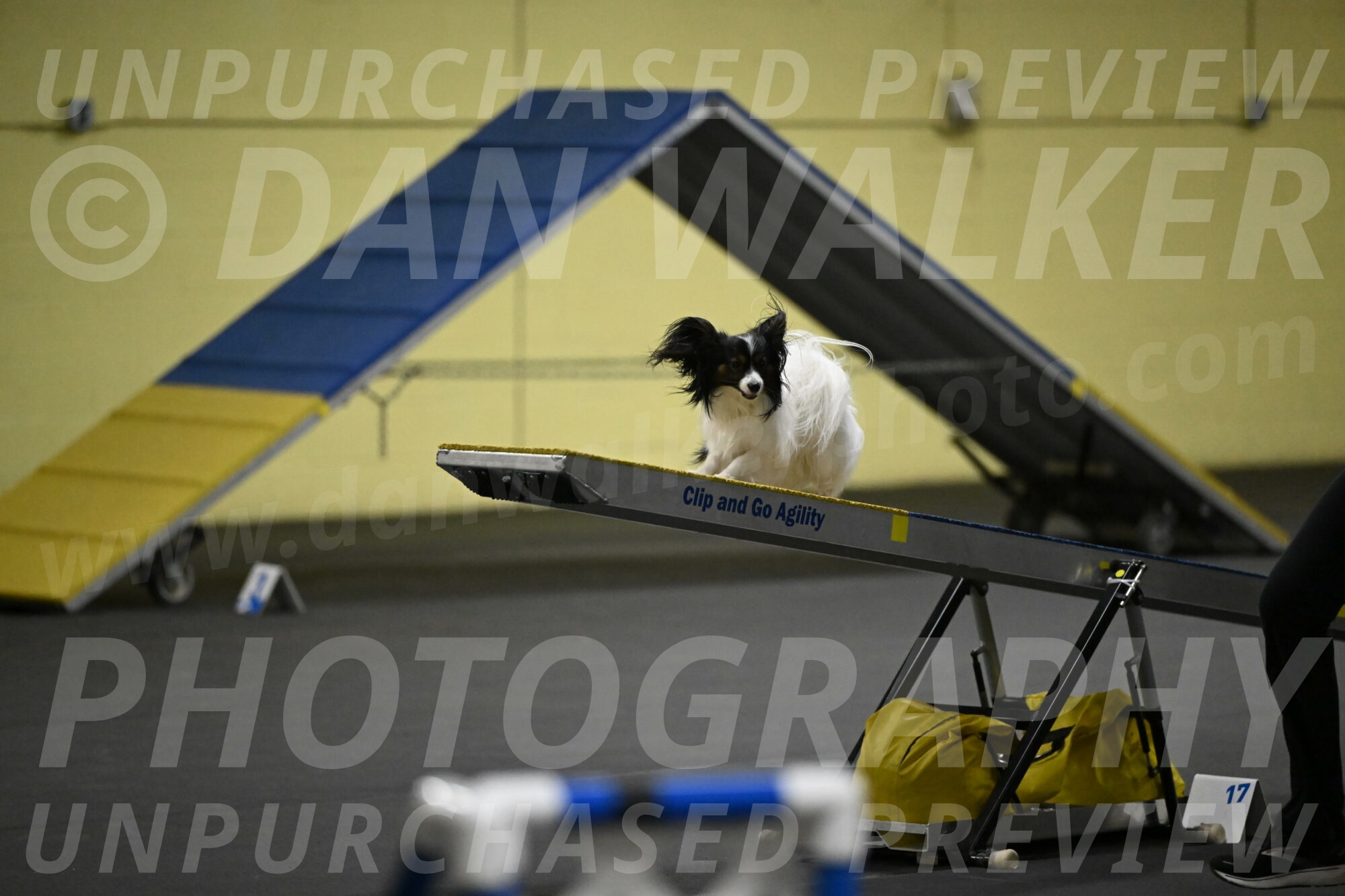 Sparky-Schneider-15793