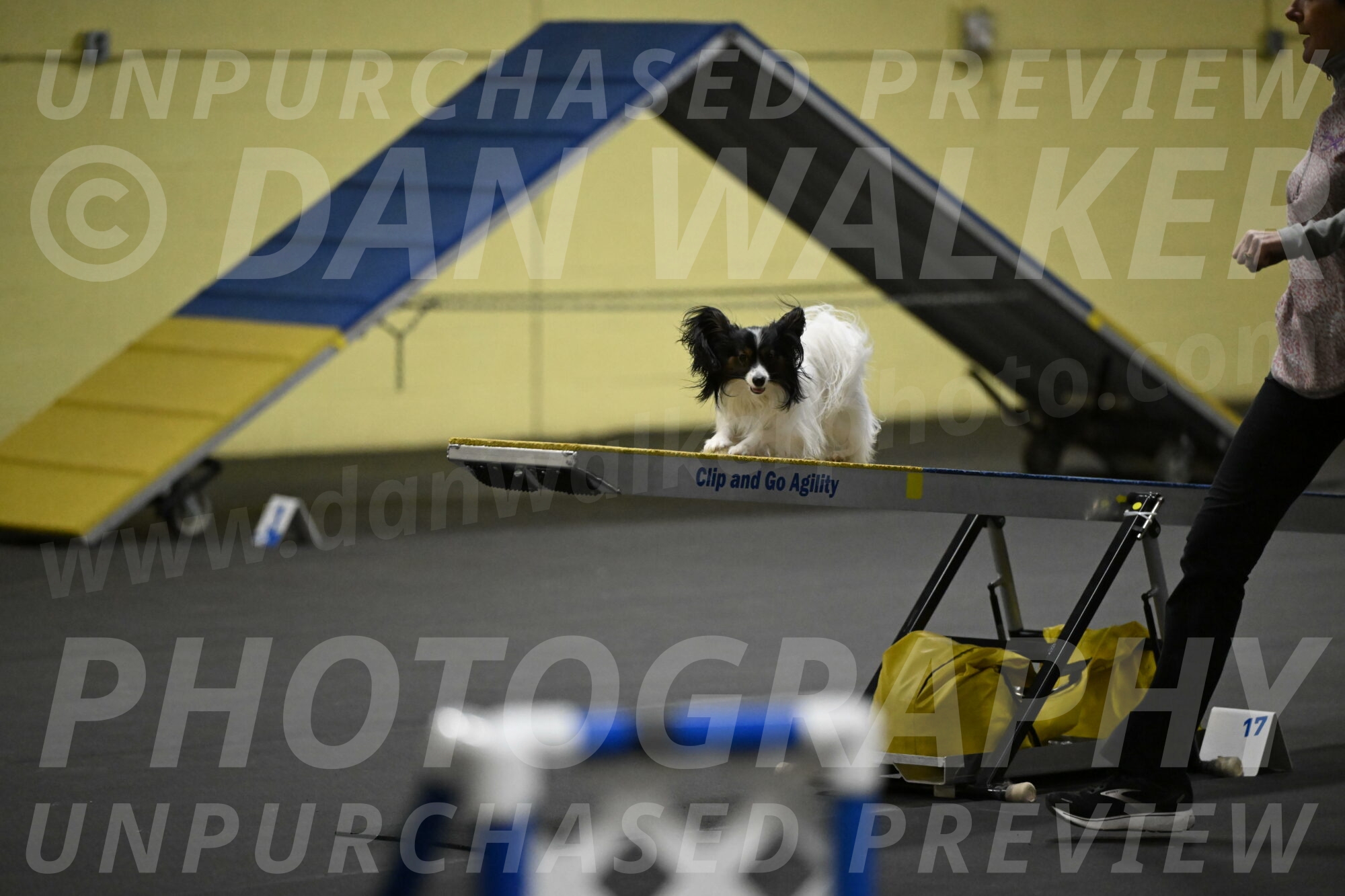 Sparky-Schneider-15794