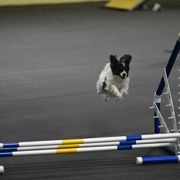 Sparky-Schneider-15797