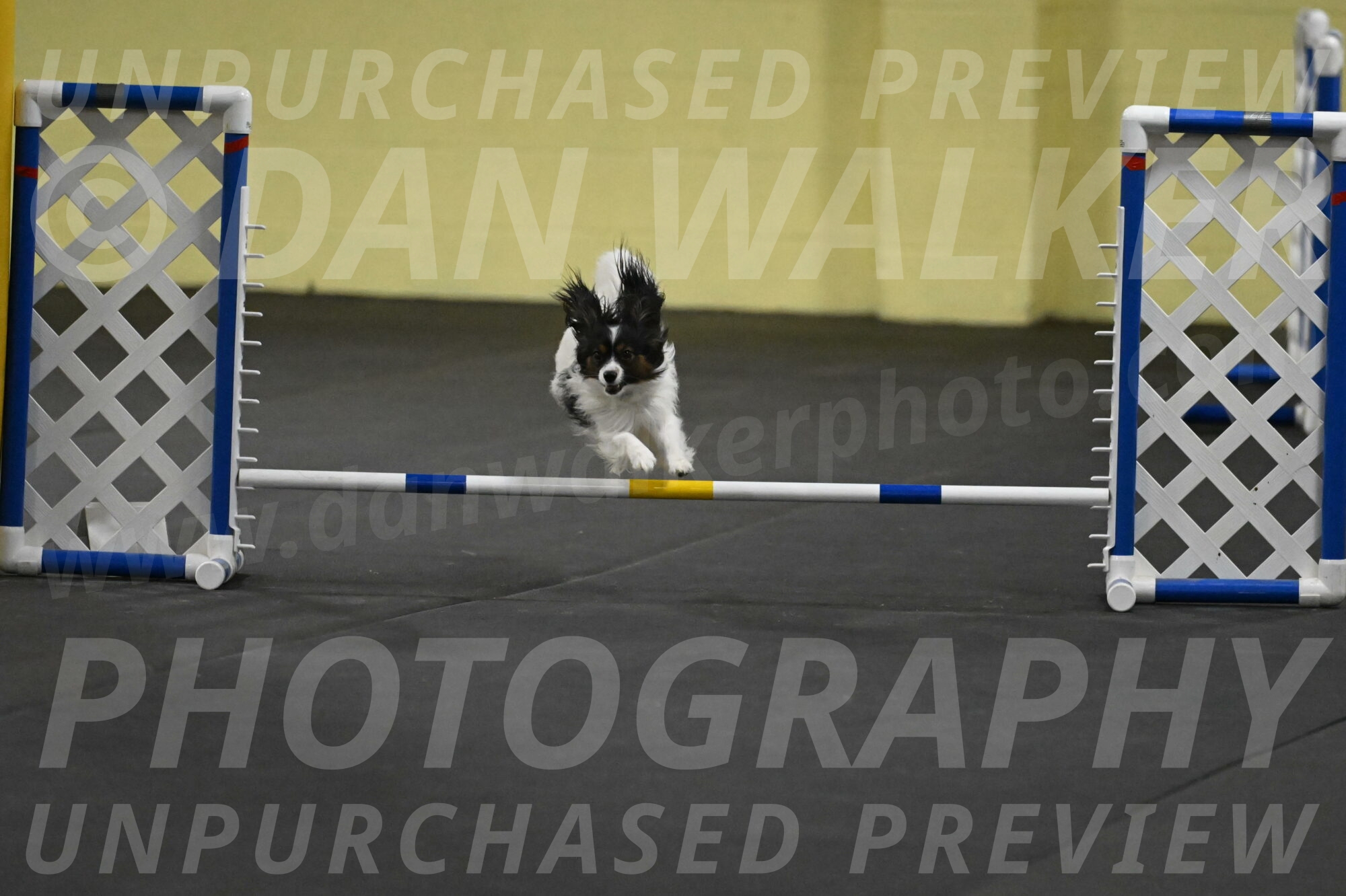 Sparky-Schneider-15805