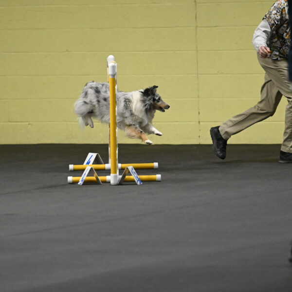 Thril-Weinrich-10410