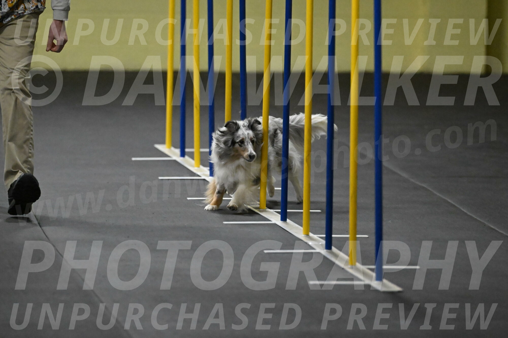 Thril-Weinrich-10421