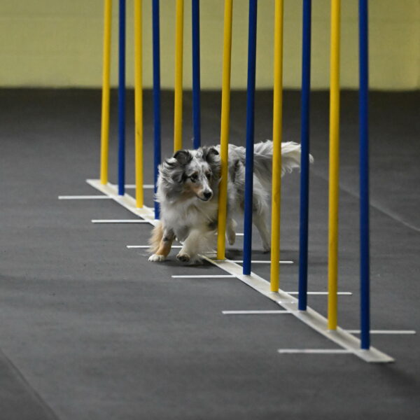 Thril-Weinrich-10421