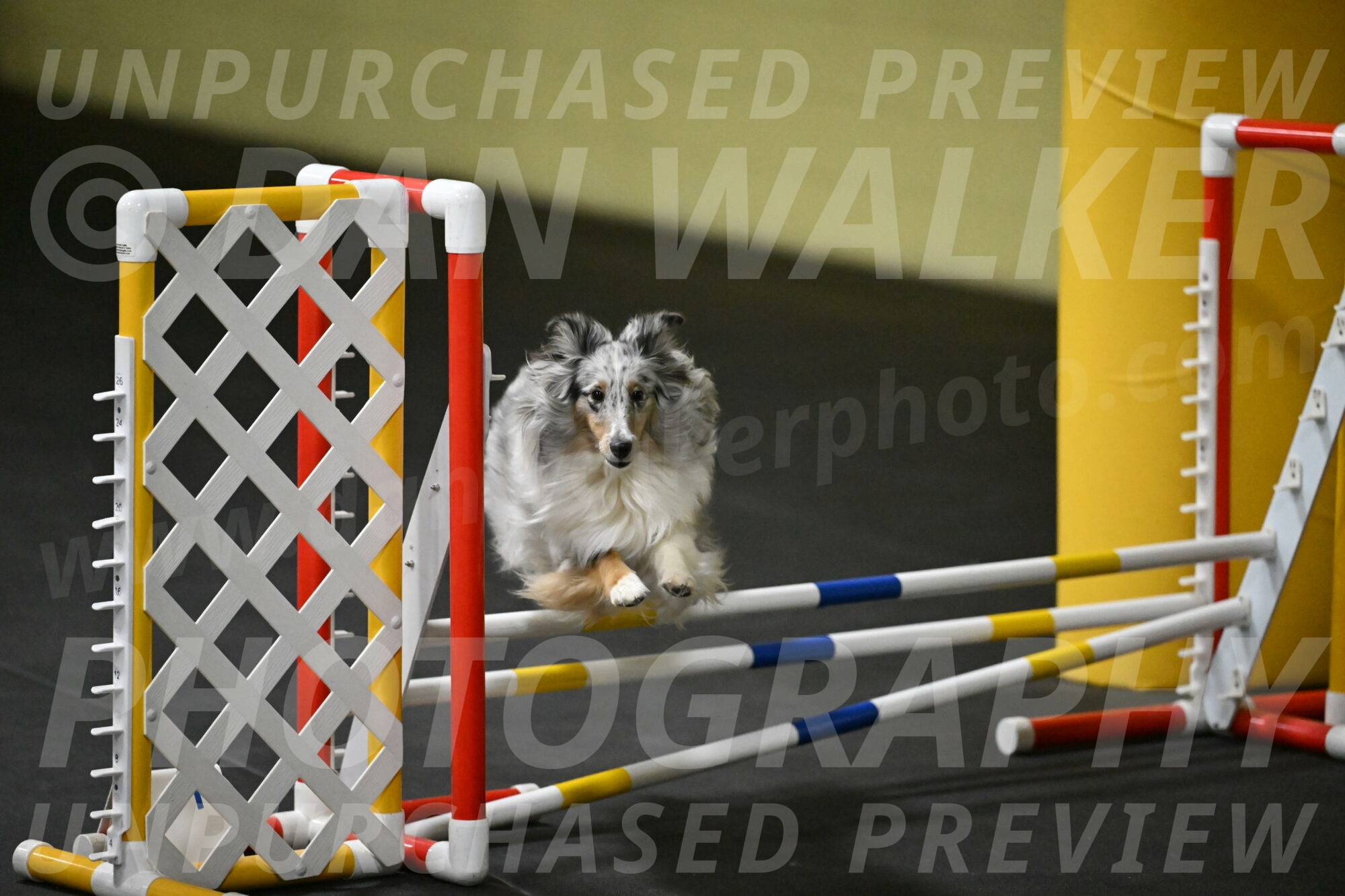 Thril-Weinrich-10434