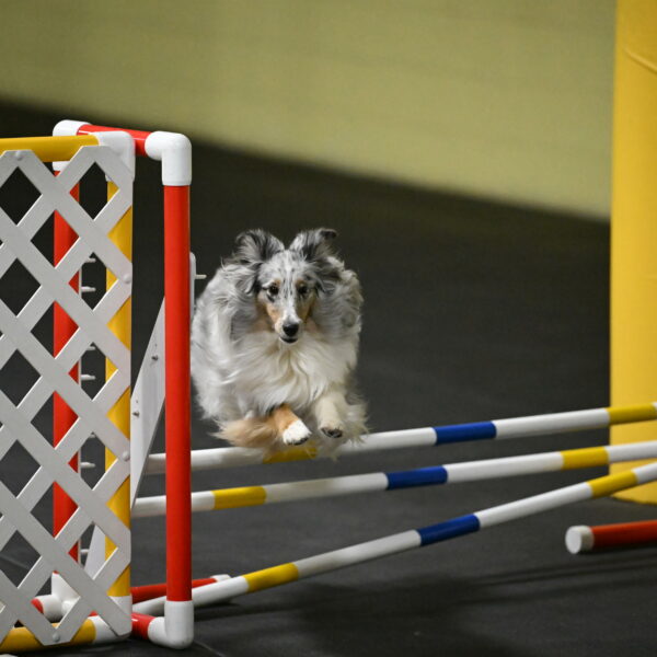 Thril-Weinrich-10434