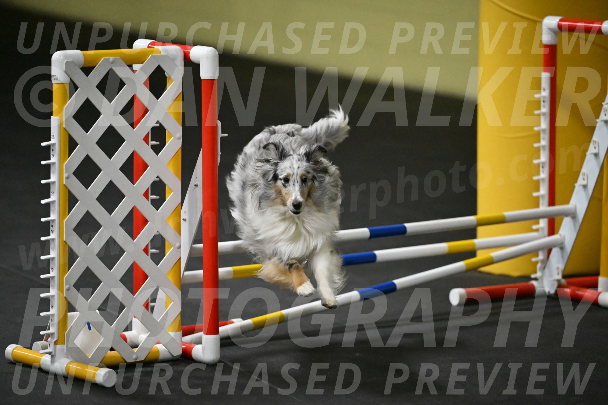 Thril-Weinrich-10435