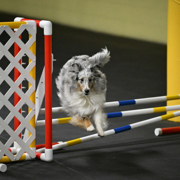 Thril-Weinrich-10435