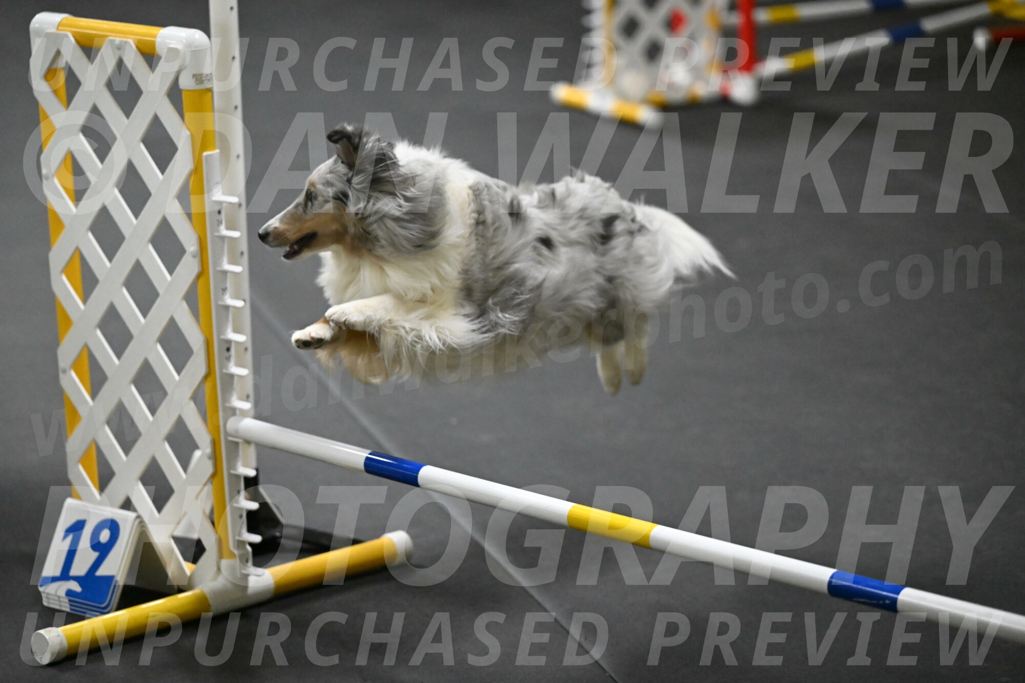 Thril-Weinrich-10439