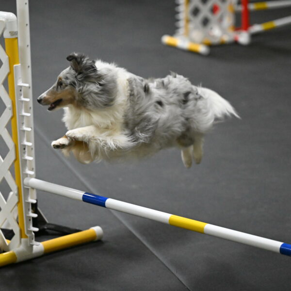 Thril-Weinrich-10439