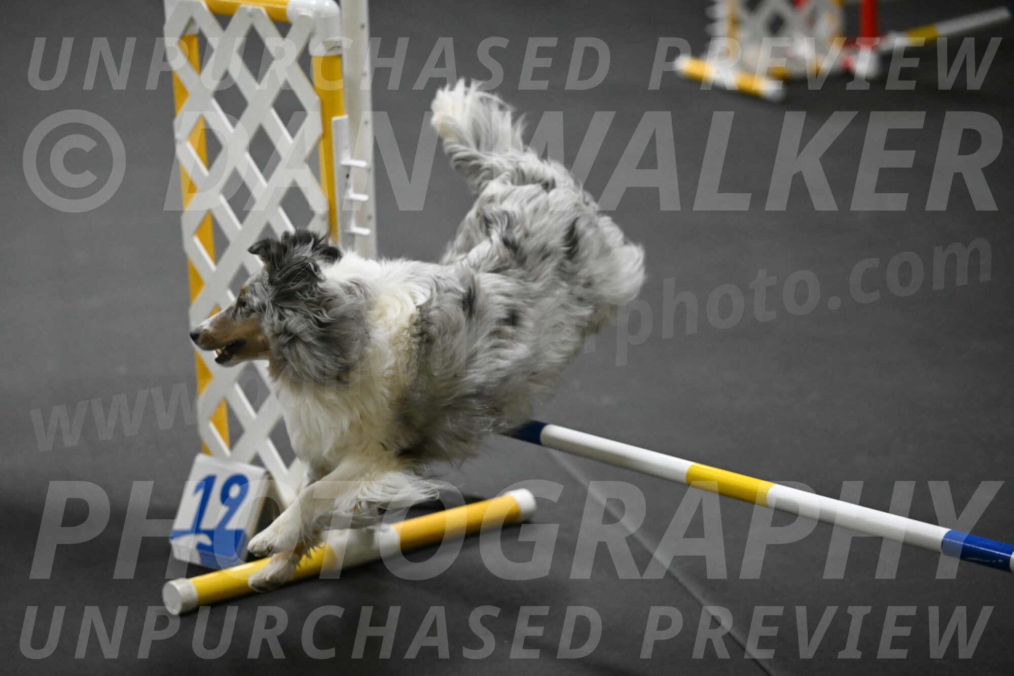 Thril-Weinrich-10441