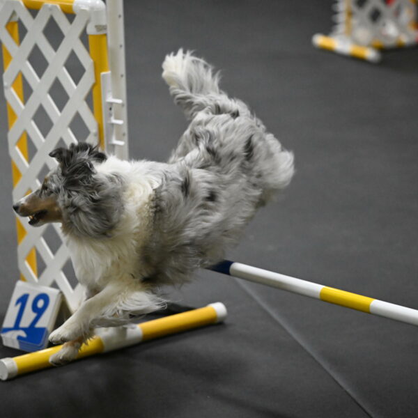 Thril-Weinrich-10441