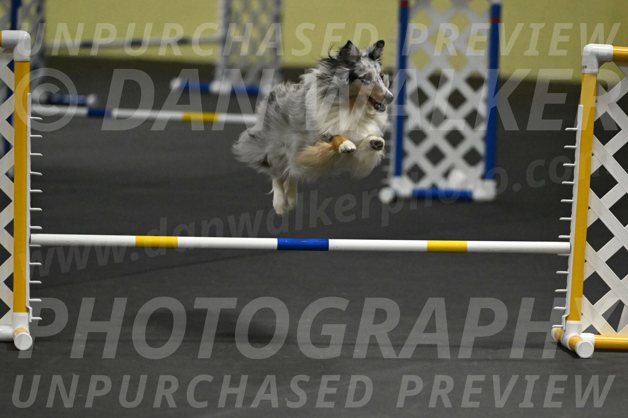 Thril-Weinrich-10459