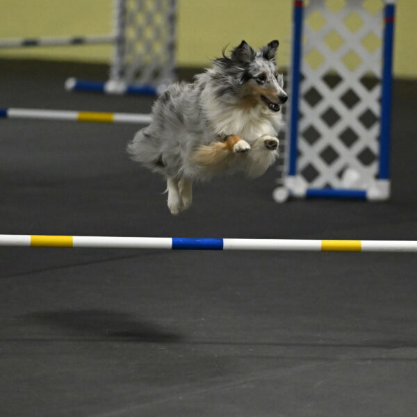 Thril-Weinrich-10459