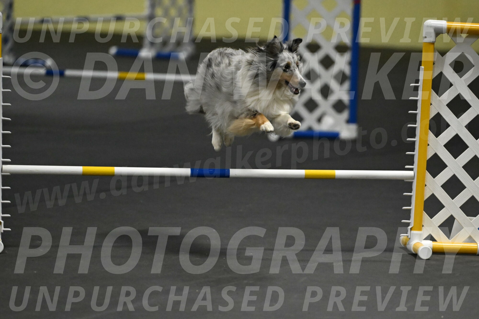 Thril-Weinrich-10460