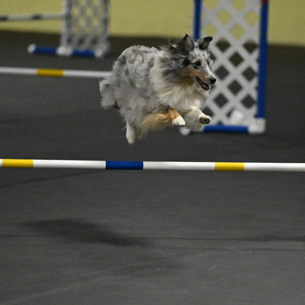 Thril-Weinrich-10460