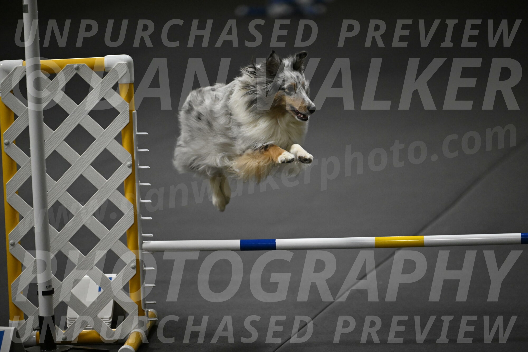 Thril-Weinrich-10464