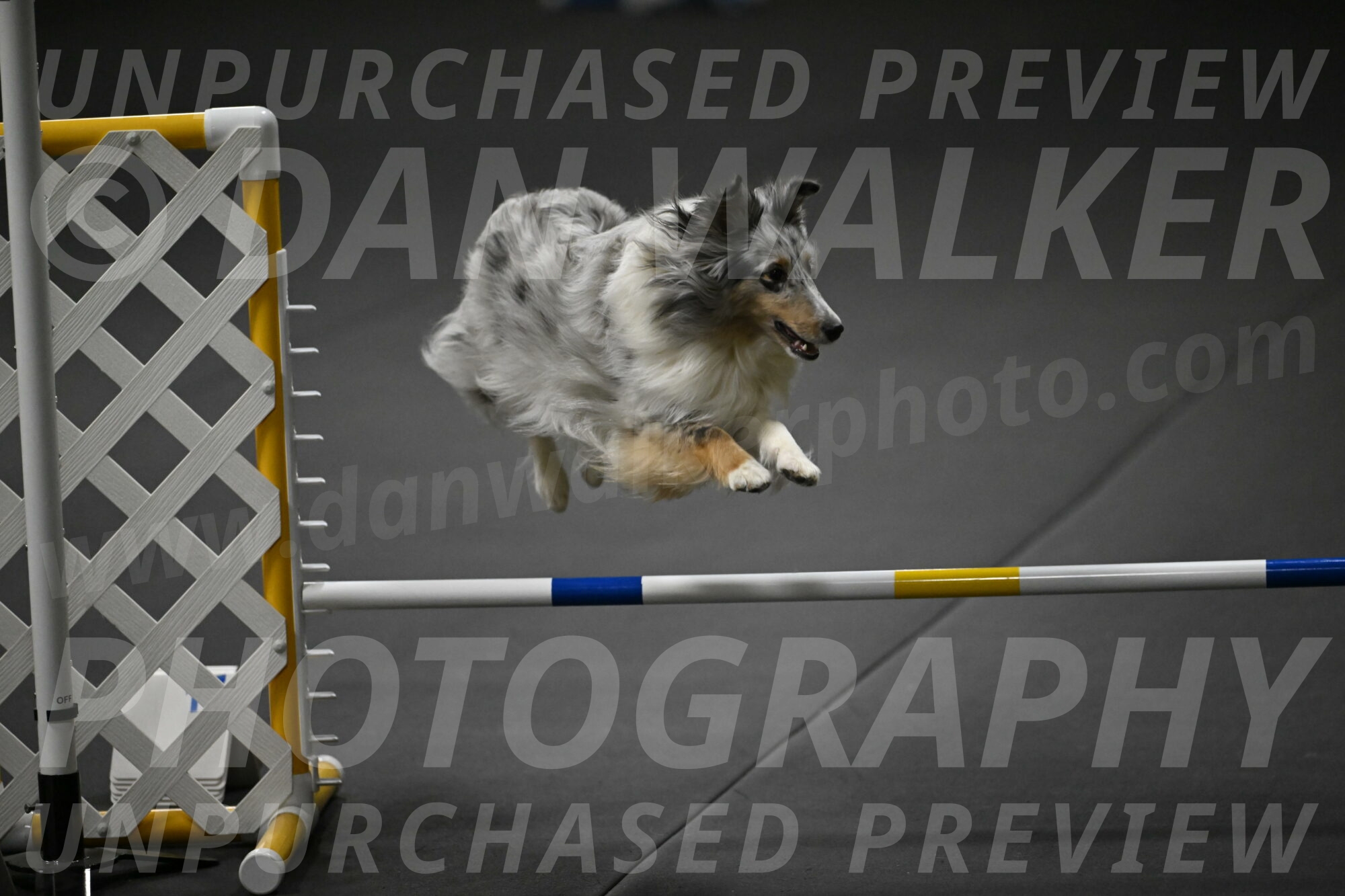 Thril-Weinrich-10465