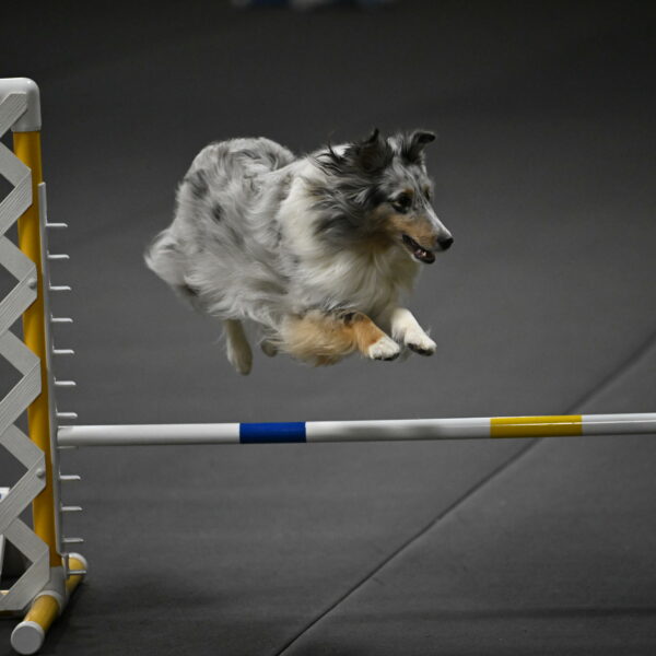 Thril-Weinrich-10465