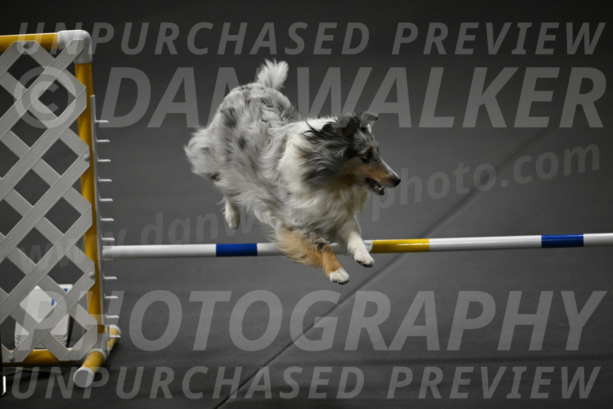 Thril-Weinrich-10466