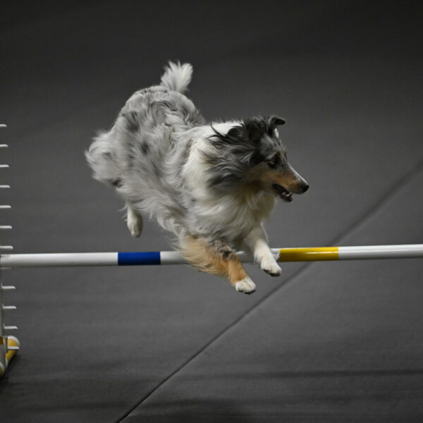 Thril-Weinrich-10466