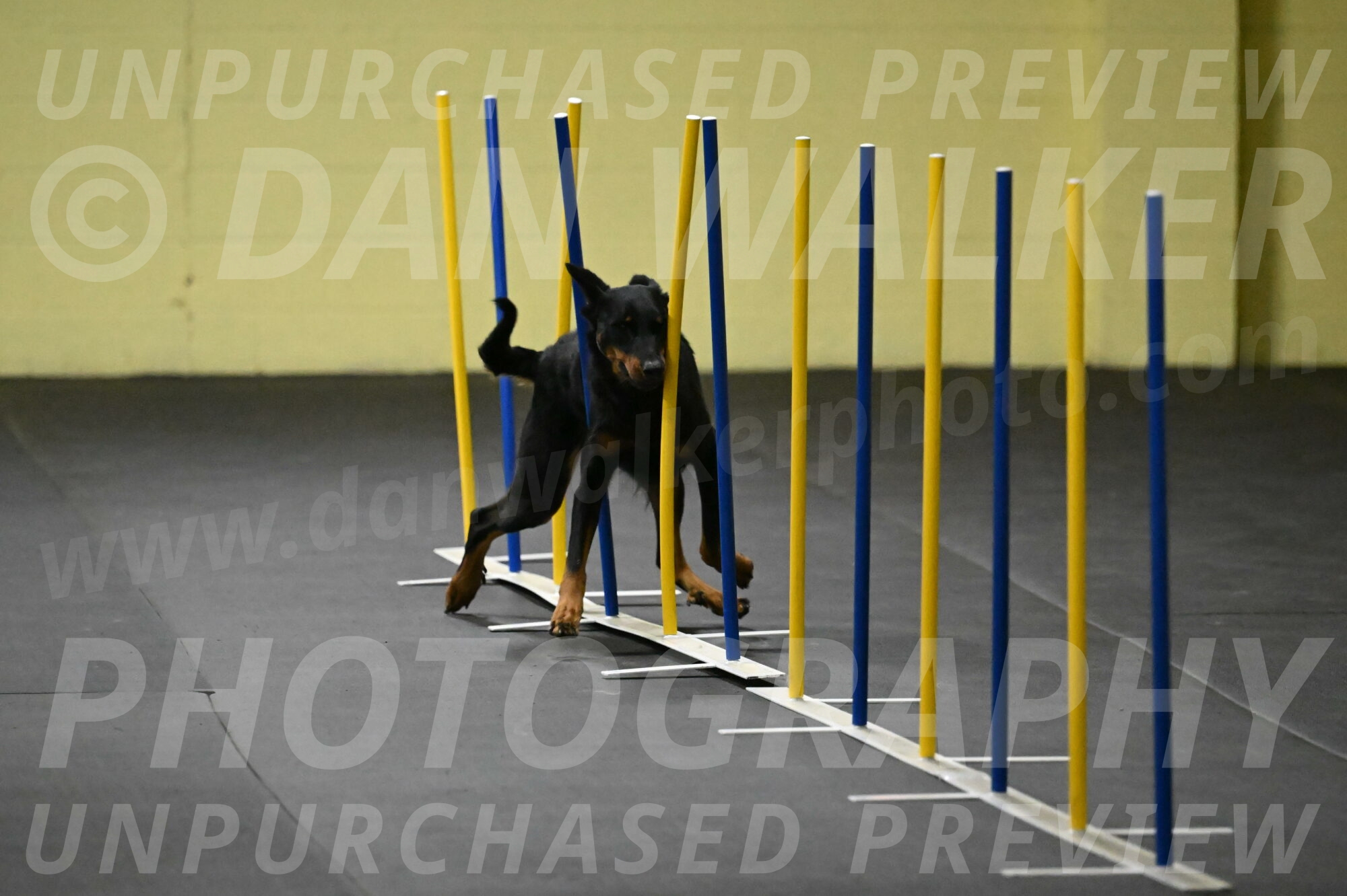 Ulla-Bourell-Casey-06293