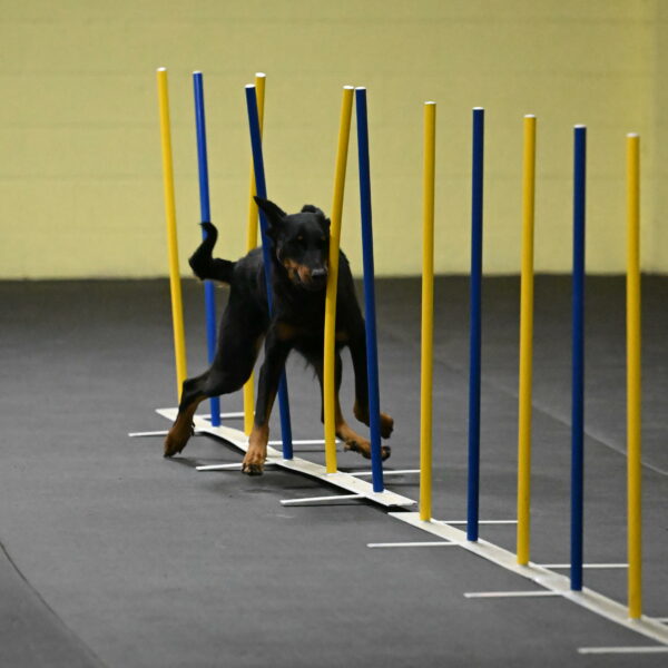 Ulla-Bourell-Casey-06293