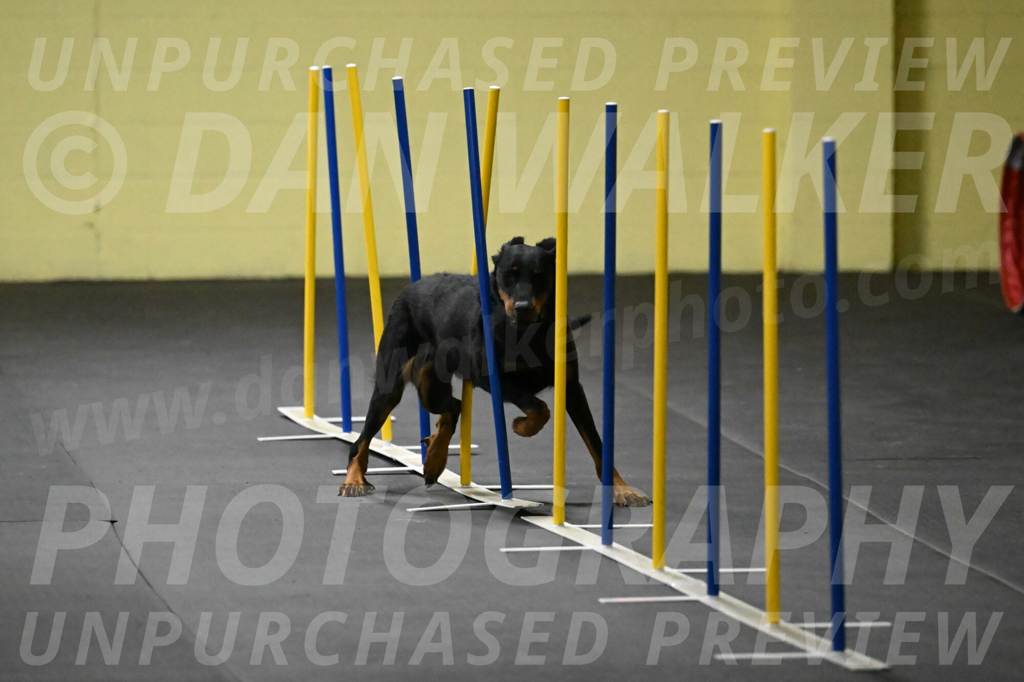 Ulla-Bourell-Casey-06296