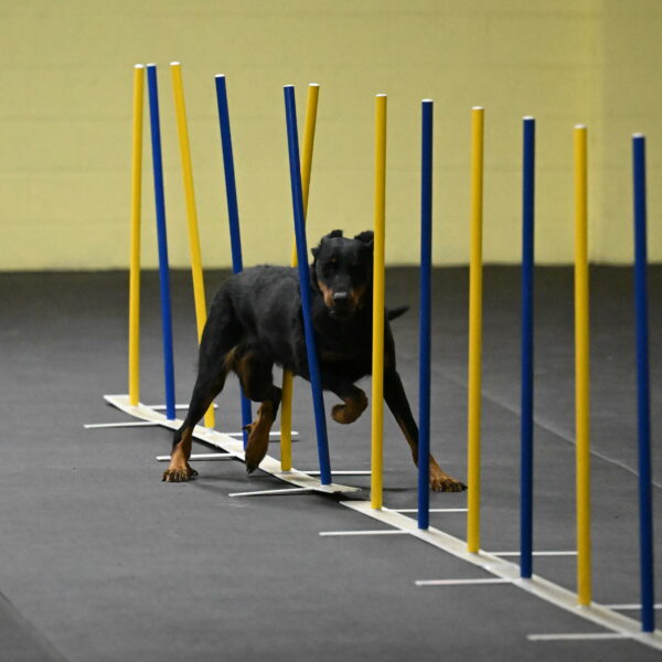 Ulla-Bourell-Casey-06296