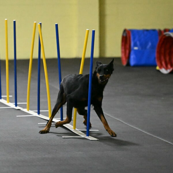 Ulla-Bourell-Casey-06310