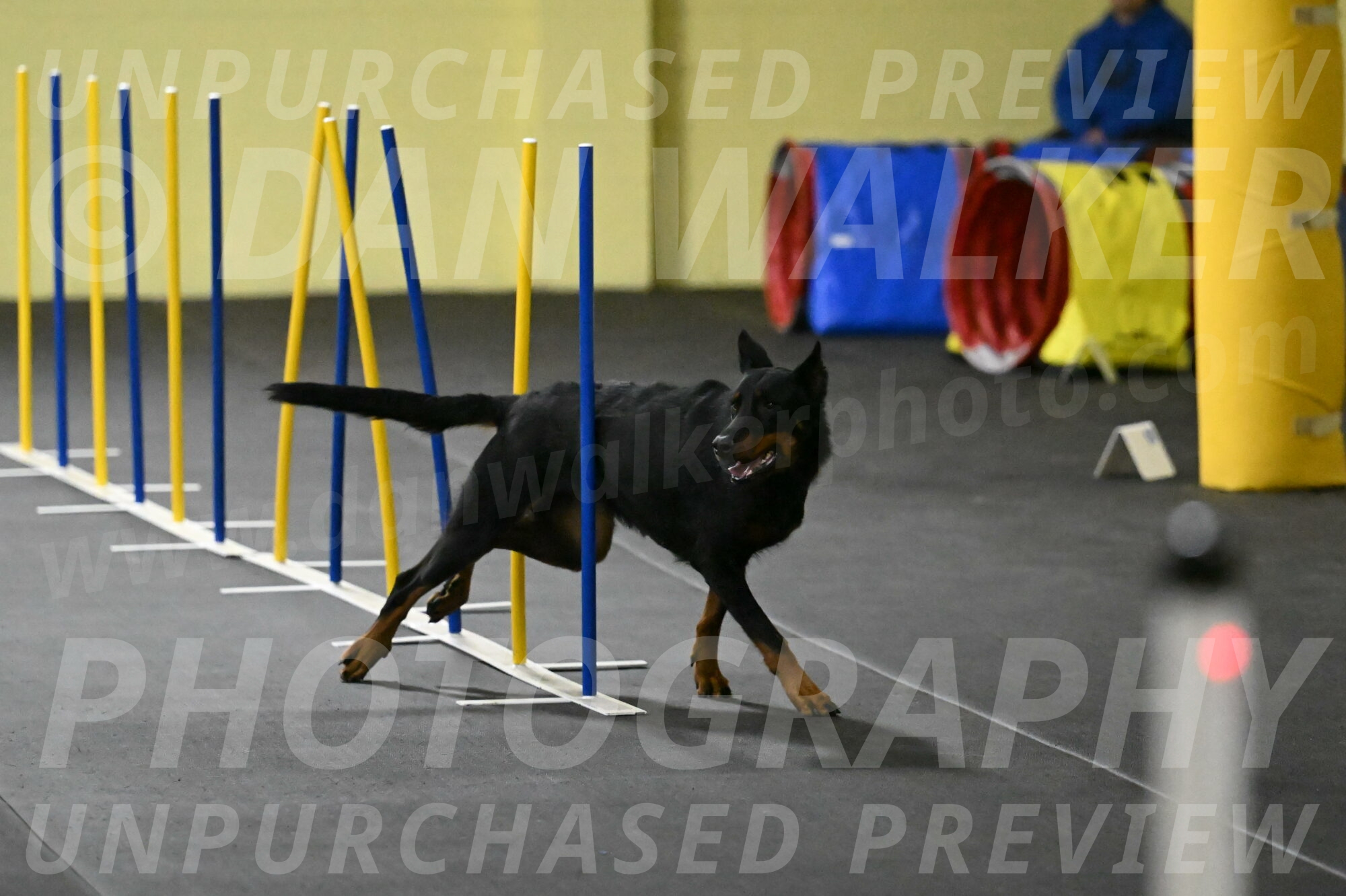 Ulla-Bourell-Casey-06312