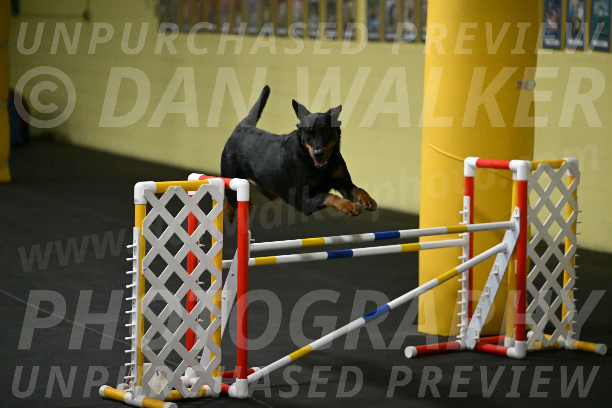 Ulla-Bourell-Casey-06319