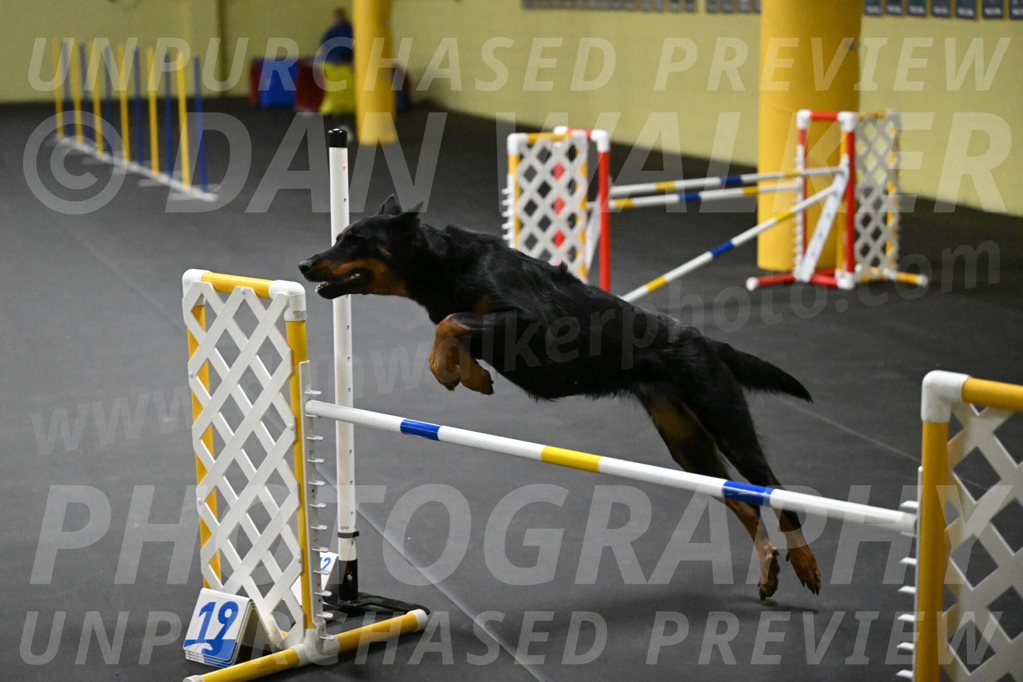 Ulla-Bourell-Casey-06325