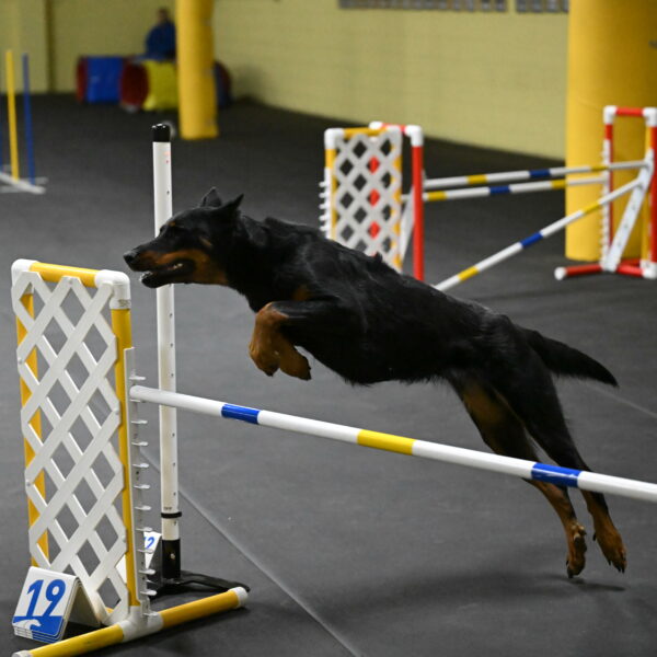 Ulla-Bourell-Casey-06325