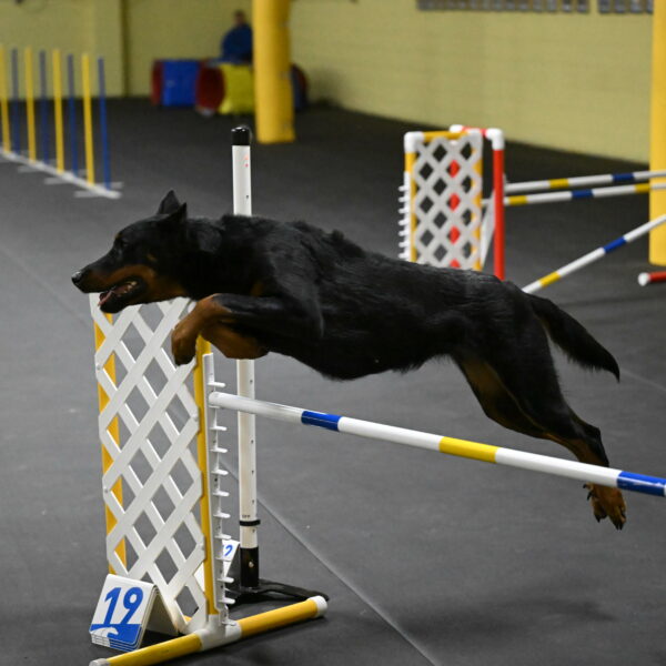 Ulla-Bourell-Casey-06326