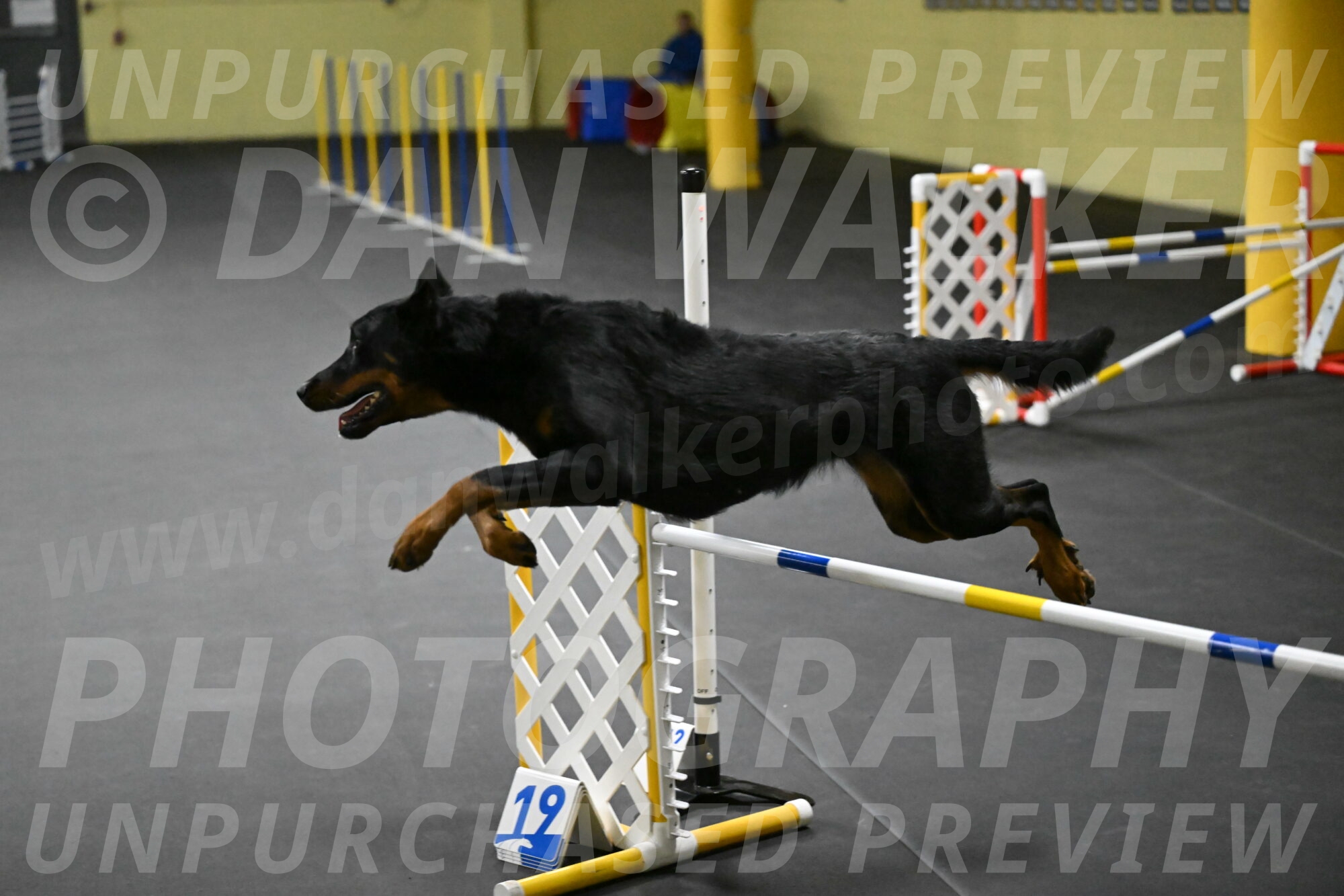 Ulla-Bourell-Casey-06327