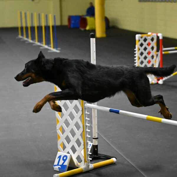 Ulla-Bourell-Casey-06327