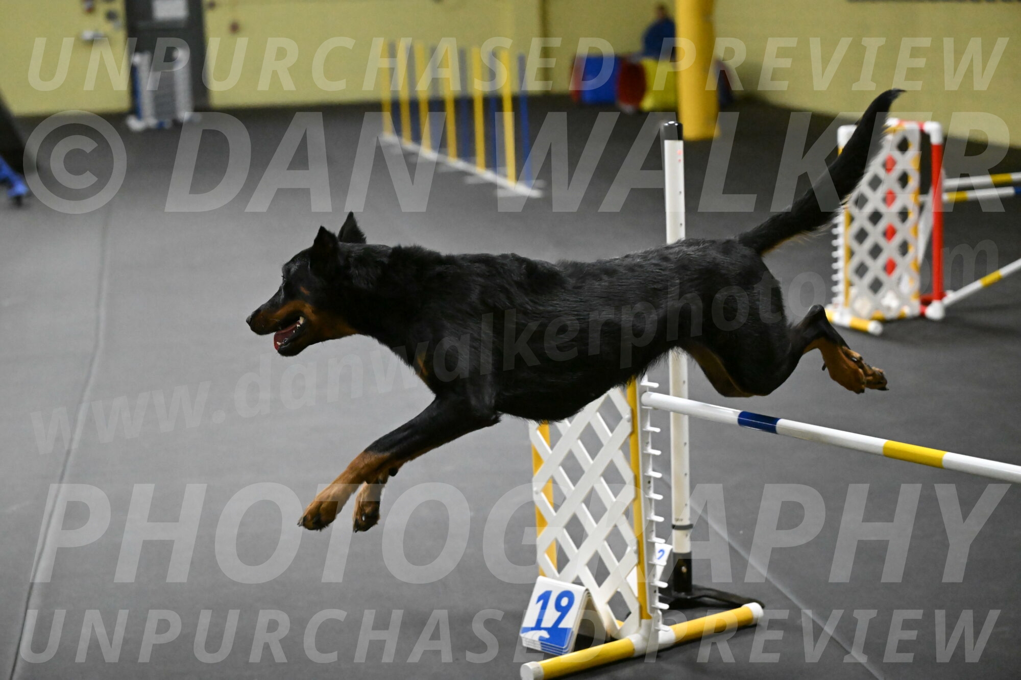 Ulla-Bourell-Casey-06328