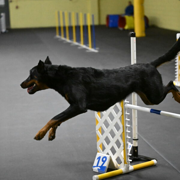 Ulla-Bourell-Casey-06328