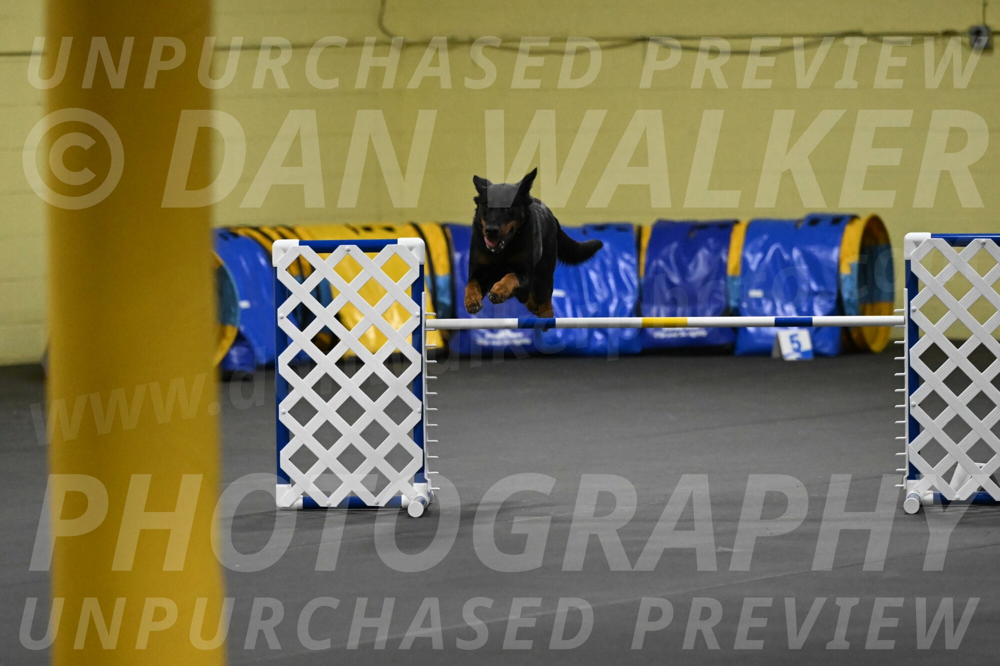 Ulla-Bourell-Casey-06336