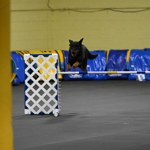 Ulla-Bourell-Casey-06336