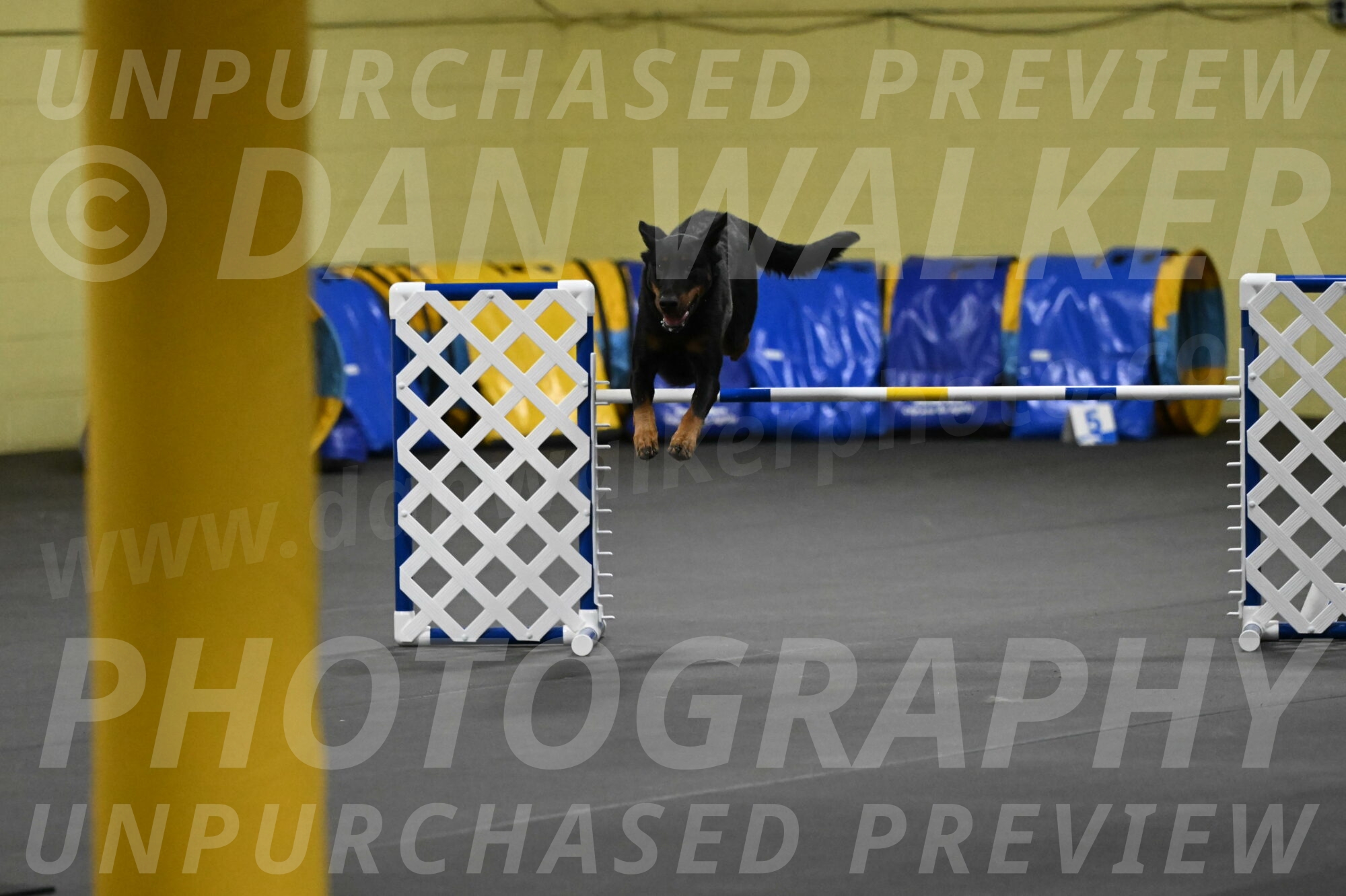 Ulla-Bourell-Casey-06337