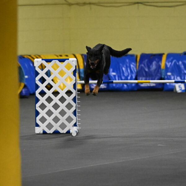 Ulla-Bourell-Casey-06337