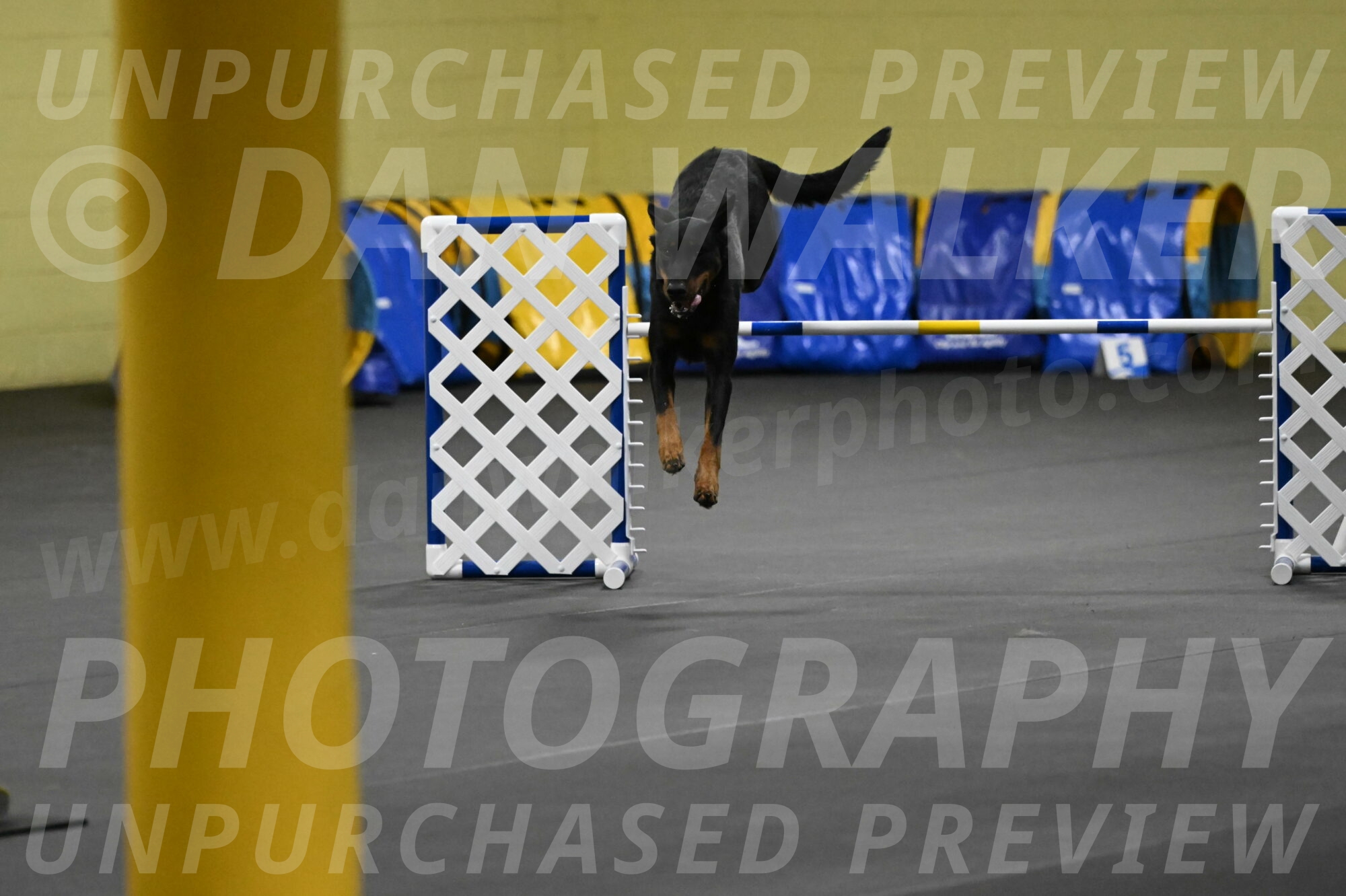 Ulla-Bourell-Casey-06338