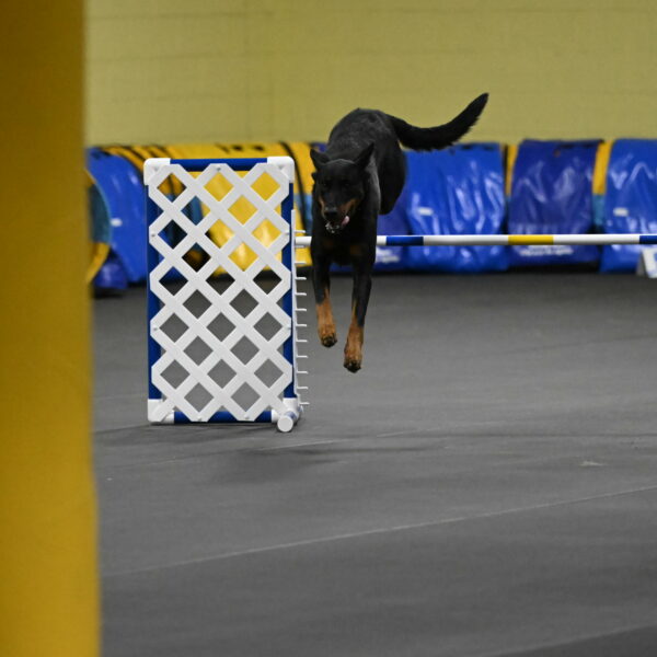 Ulla-Bourell-Casey-06338