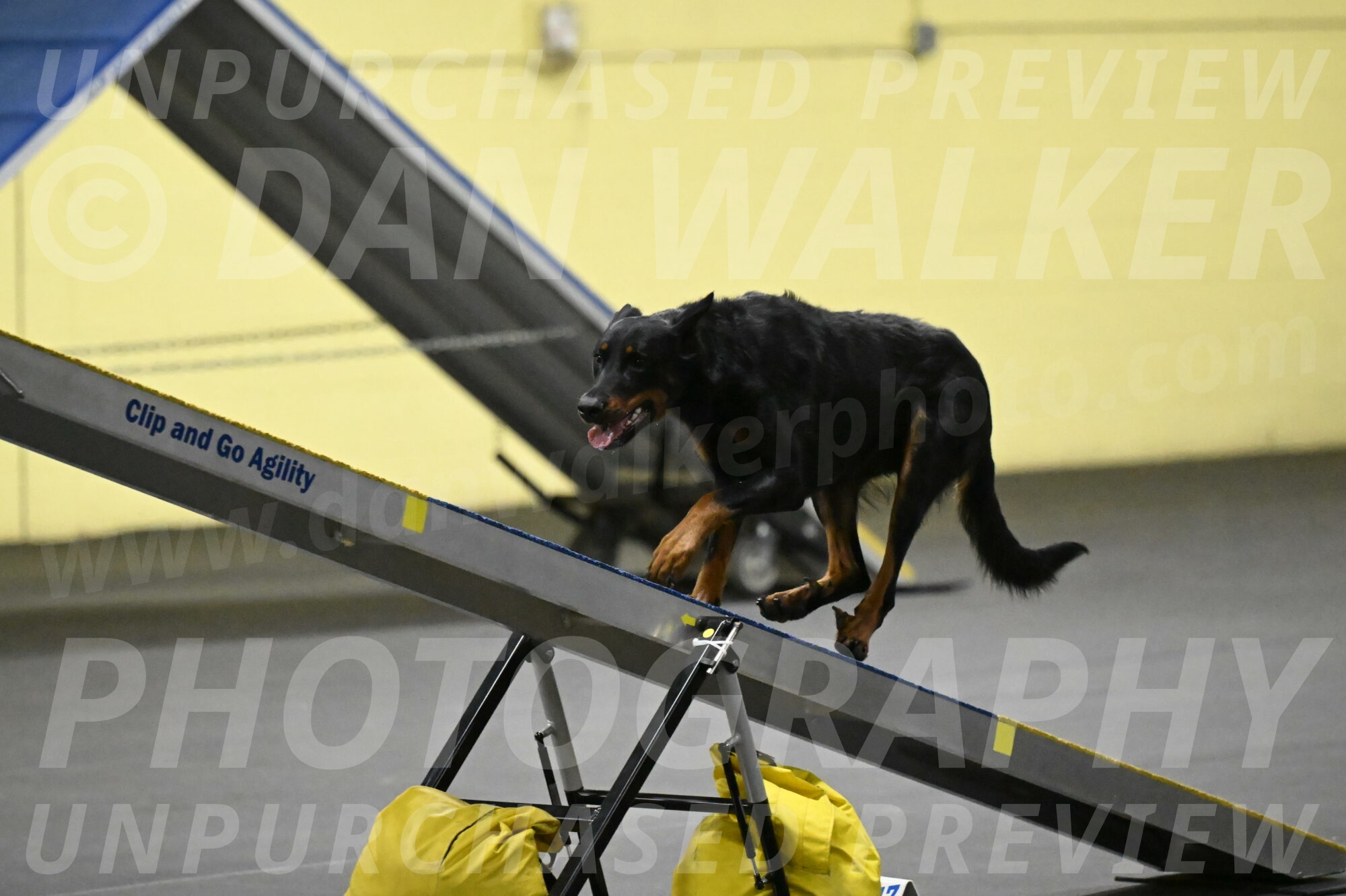 Ulla-Bourell-Casey-06340